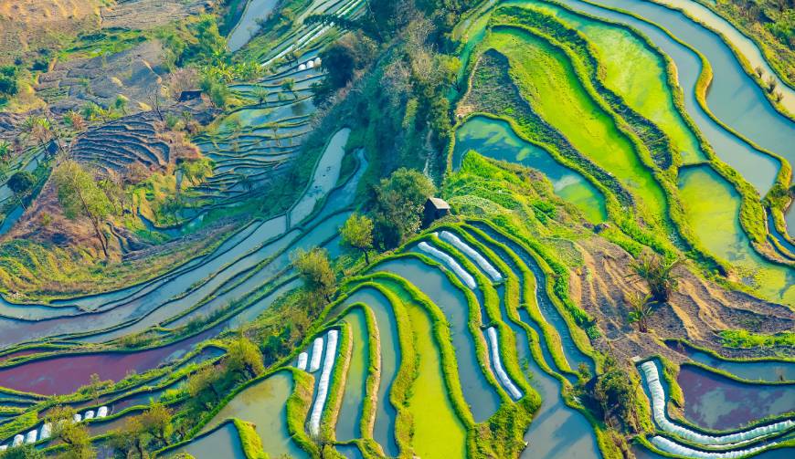 走进红安县TVC拍摄：解锁本地化场景与创意镜头的完美融合